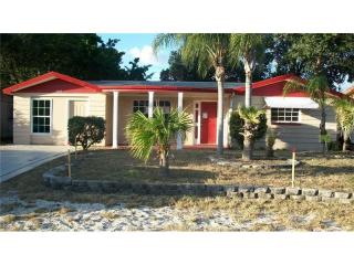 3043 Palamore Dr, Tarpon Springs, FL 34691-1132