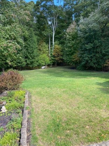 31 Jerome St, Berkley MA 02779-1121 exterior