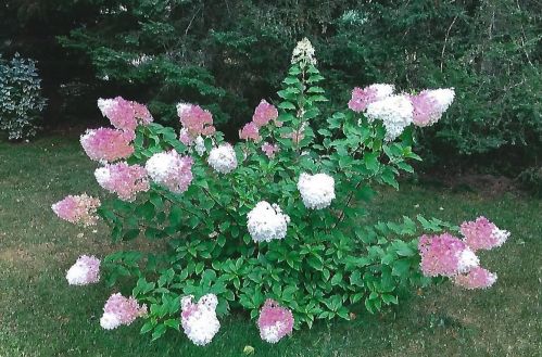 1103 Eagle Ridge Ct, Stillwater MN  55082-9151 exterior