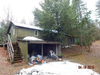 133 Seventy Ln, Lewis, NY 12950-2104