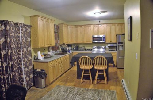142 Hysana Rd, Liberty, NY 12754-2809