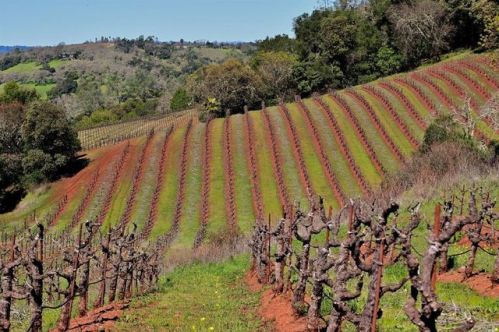 22500 River Rd, Geyserville, CA 95441-9671