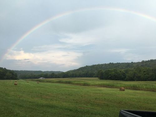 1093 Sulphur Bedford Rd, Bedford, KY 40006-8732