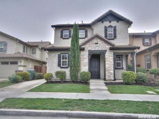17422 Pheasant Downs Rd, Lathrop, CA 95330-8818