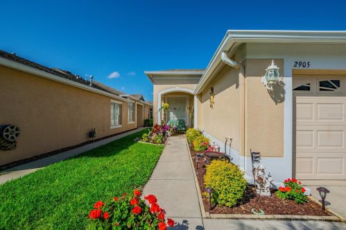 2905 Tanglewylde Dr, Land O Lakes, FL 34638-7799