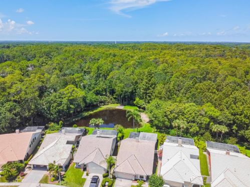 3664 Darston St, Palm Harbor FL  34685-1182 exterior