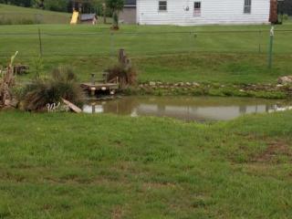 4085 Mohawk Rd, Mohawk, TN 37810-4842
