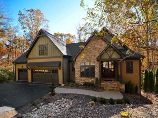 43 Owl Creek Ln, Fairview, NC 28730-8816