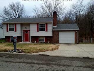 110 Arthur Dr, Charleston, WV 25387-1110