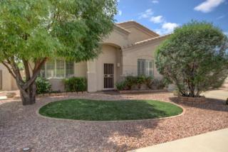 13427 Paradise Ln, Sun City, AZ 85374-5466