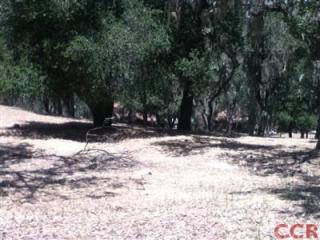 8769 Deer Trail Ct, Lake Nacimiento, CA 93426-6931