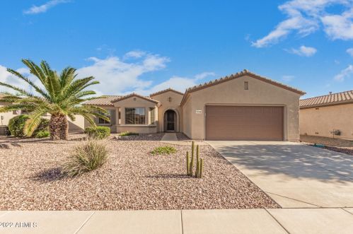 21339 Black Bear Lodge Dr, Sun City AZ  85387-8203 exterior