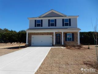 3072 Wild Turkey Dr, Effingham, SC 29541-4718