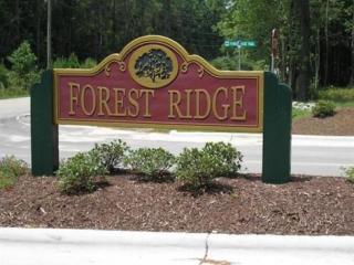 517 Holland Mill Ln, Stella, NC 28582-9694