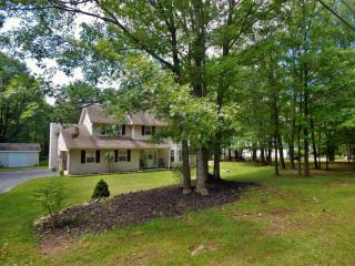 113 Cimarron Dr, Effort, PA 18330-7844