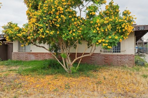 7372 Elm St, San Bernardino CA  92410-4277 exterior