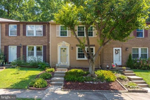 8223 Burning Forest Ct, Springfield, VA 22153-3856