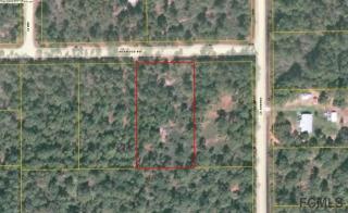 5631 Ironwood Ave, Bunnell, FL