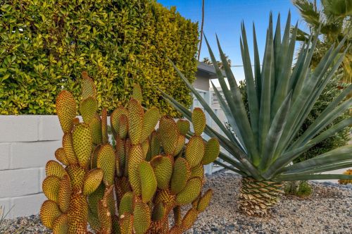 610 Hermosa Dr, Palm Springs CA  92262-6112 exterior