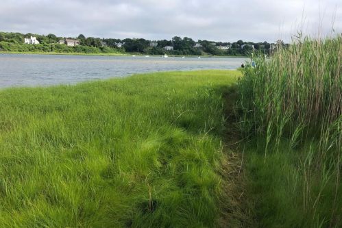 15 Seaview Rd, Eastham MA 02642-2531 exterior