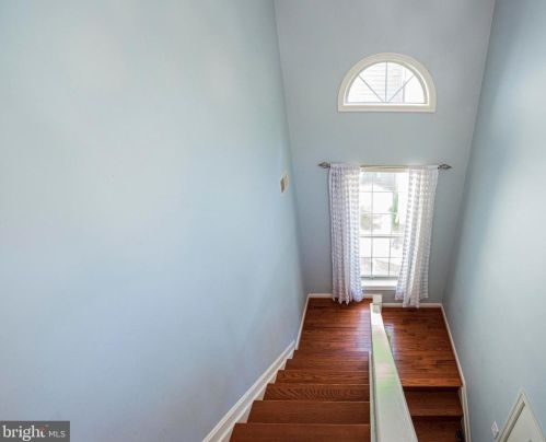 7732 Willow Point Dr, Falls Church VA  22042-7533 exterior