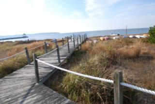 23 Fort Pond Rd, Hither Plains, NY 11954-9684
