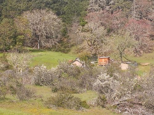 5480 Canyon Rd, Willits CA  95490-9242 exterior