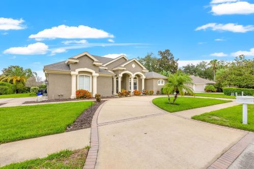 3879 Moreno Dr, Palm Harbor, FL 34685-3649