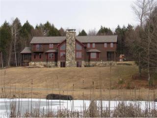25 Meadowmere Ln, Liberty, NY 12754-2920
