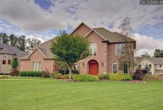 25696 Carnation Run, Cleveland, OH 44145-5724
