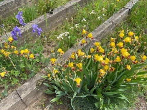 46 Vermont Ave, Milford CT  06460-7043 exterior