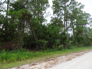 17151 81st Ln, Town Of Loxahatchee Groves, FL 33470-3037