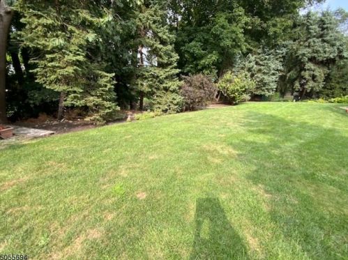 16 Dodd Ter, Verona NJ  07044-1718 exterior