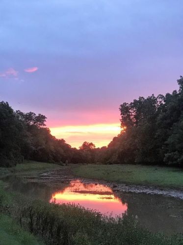 5514 Cherry Rdg Rd, Richmond TX  77406-9623 exterior