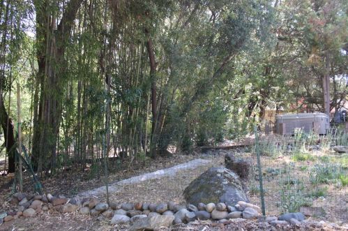 12665 Roadrunner Dr, Lake Wildwood CA  95946-9664 exterior