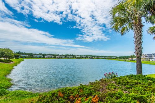 1898 Brittlebush Ln, Johns Island SC  29455-6717 exterior