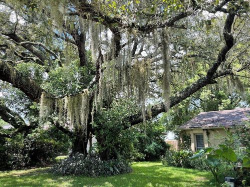 2399 Gallagher Ave, Brooksville, FL 34606-3248