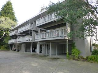 255 Blithedale Ave, Mill Valley CA  94941-2036 exterior