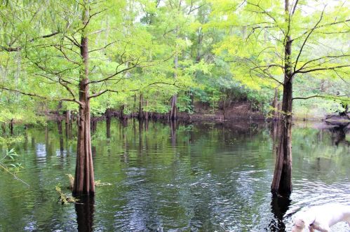 32348 Marchmont Cir, Dade City FL  33523-9026 exterior