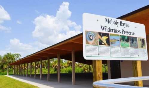 707 Shore Dr, Oldsmar FL  34677-4305 exterior