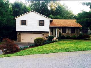 3203 Lemley St, Morgantown, WV 26508-9188