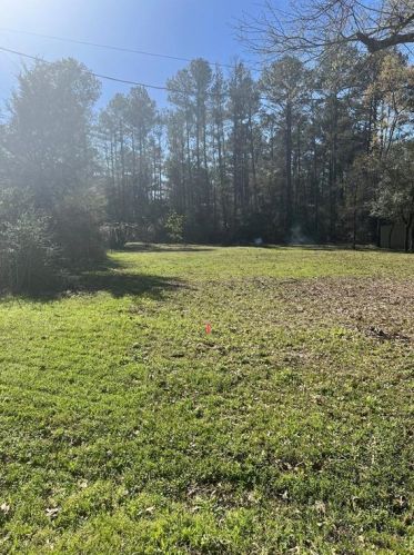 11355 Magnolia Dr, Plantersville, TX 77363-7800