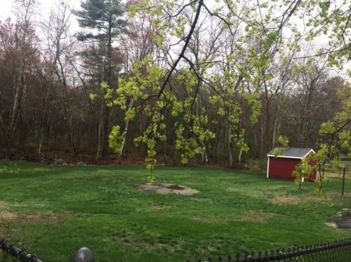 11 Royal Cir, Salem, NH 03079-2643