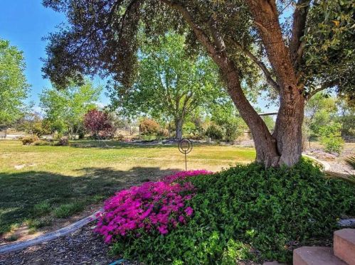 8175 Olive Branch Dr, Valley Springs, CA 95252-9612