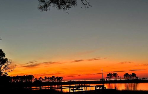 1673 Gulf Beach Dr, Saint George Island FL  32328-3107 exterior