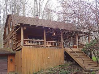 9299 Wilson Mills Rd, Chesterland, OH 44026-1638