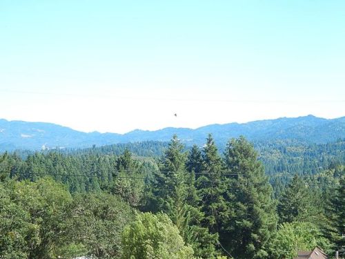 27381 Coyote Pl, Willits, CA