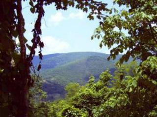 1 Little Mountain Dr, Droop, WV 24946-8799