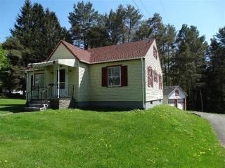 18 Mill St, Cooperstown, NY 13326-1326