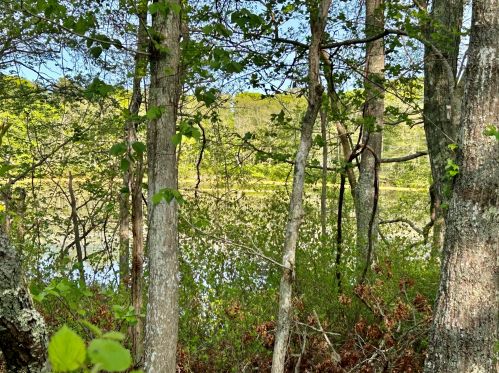 5 Elizabeth Cir, Mashpee MA 02649-2295 exterior